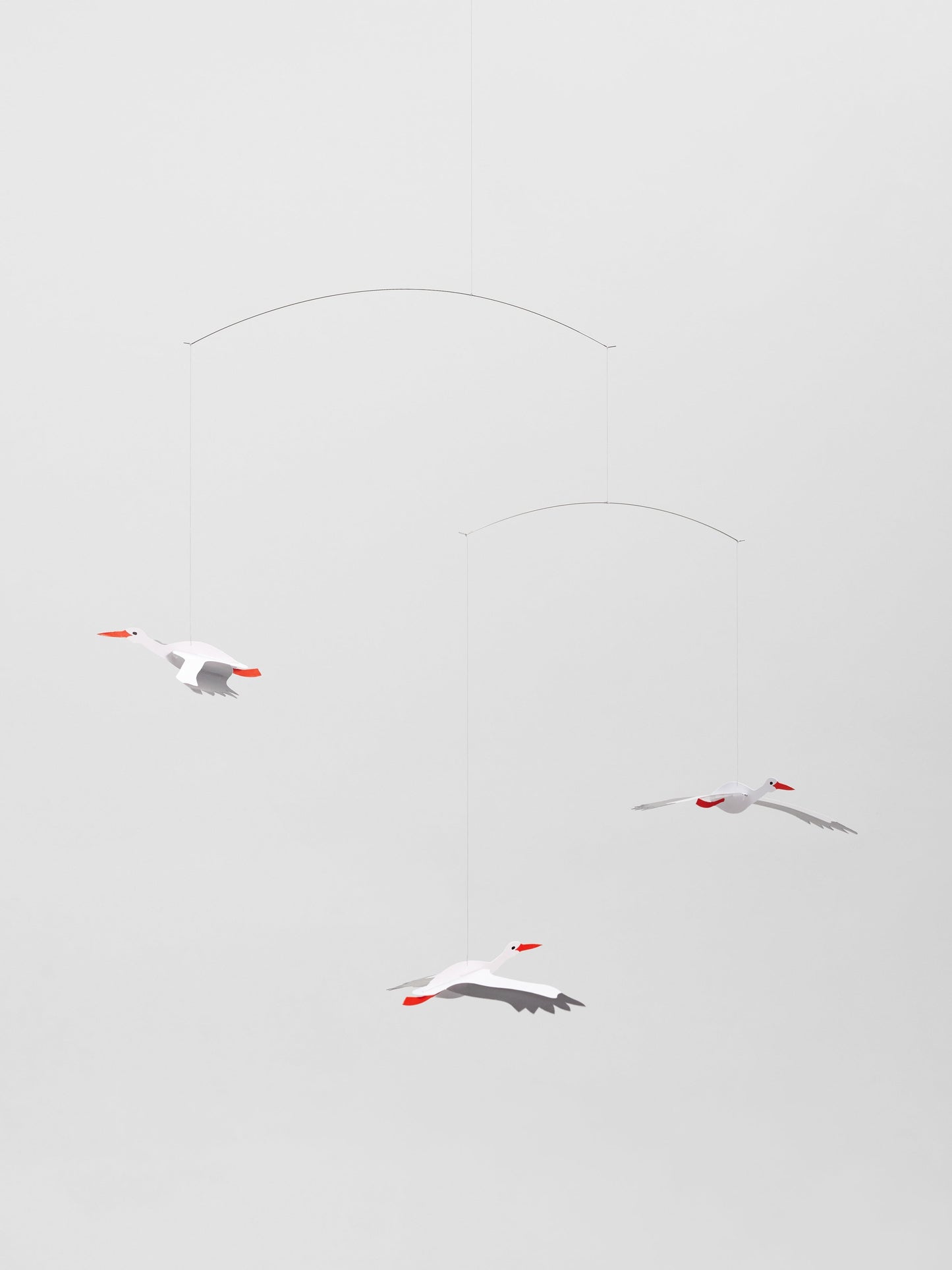 Lucky Storks.