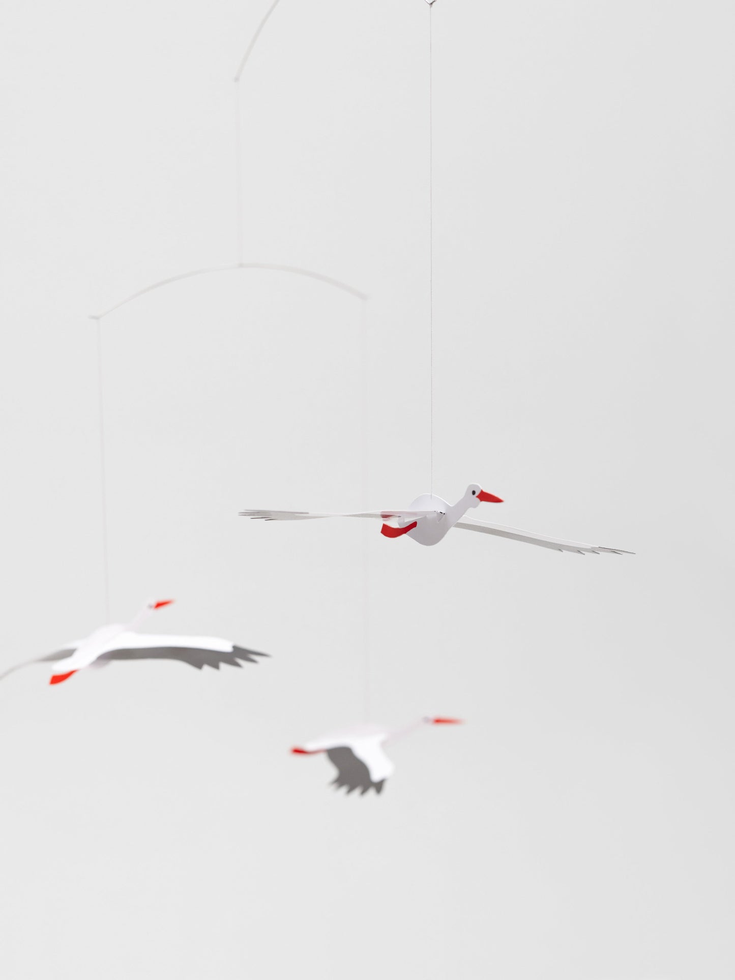 Lucky Storks.