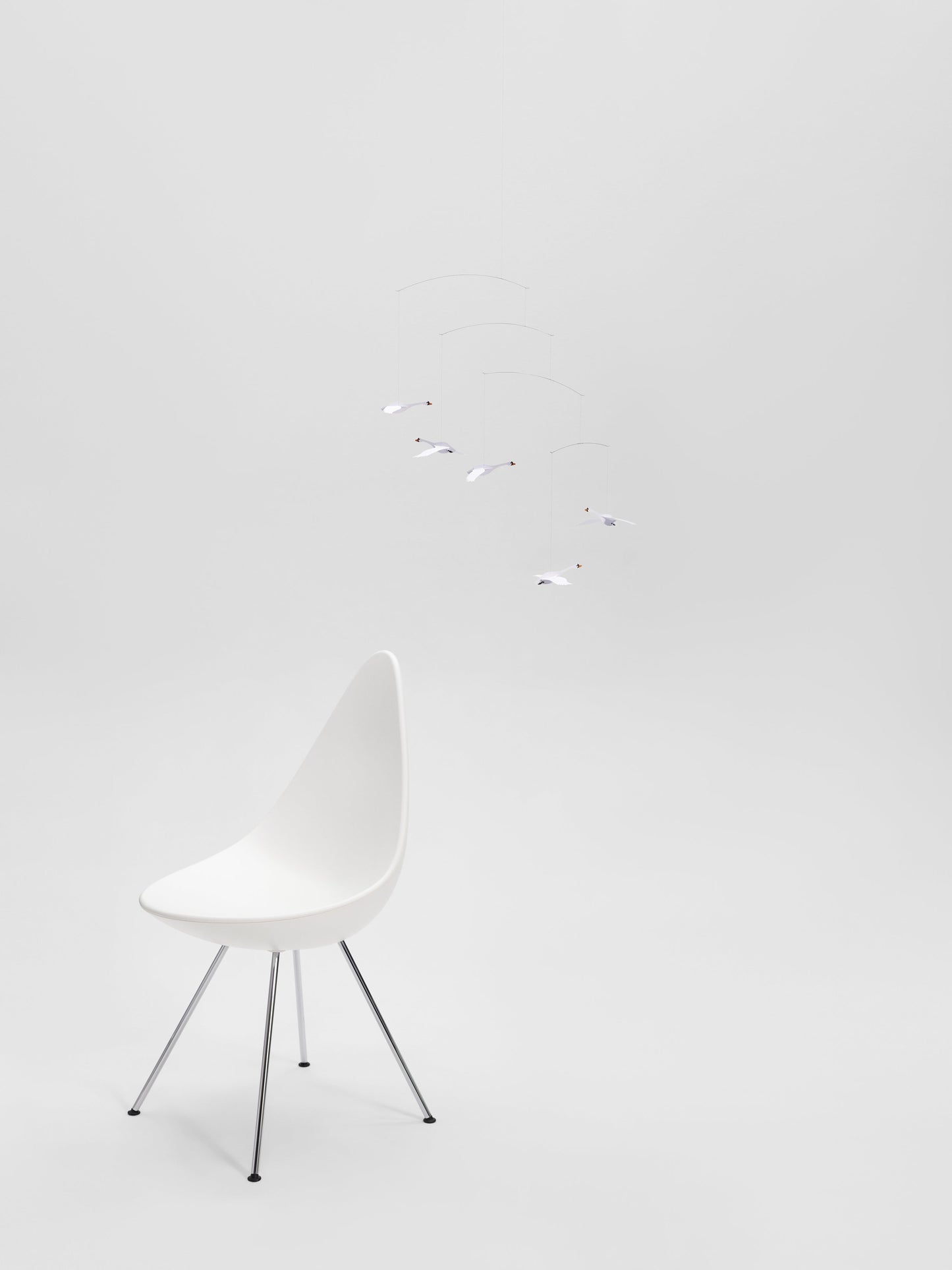 Scandinavian Swans.