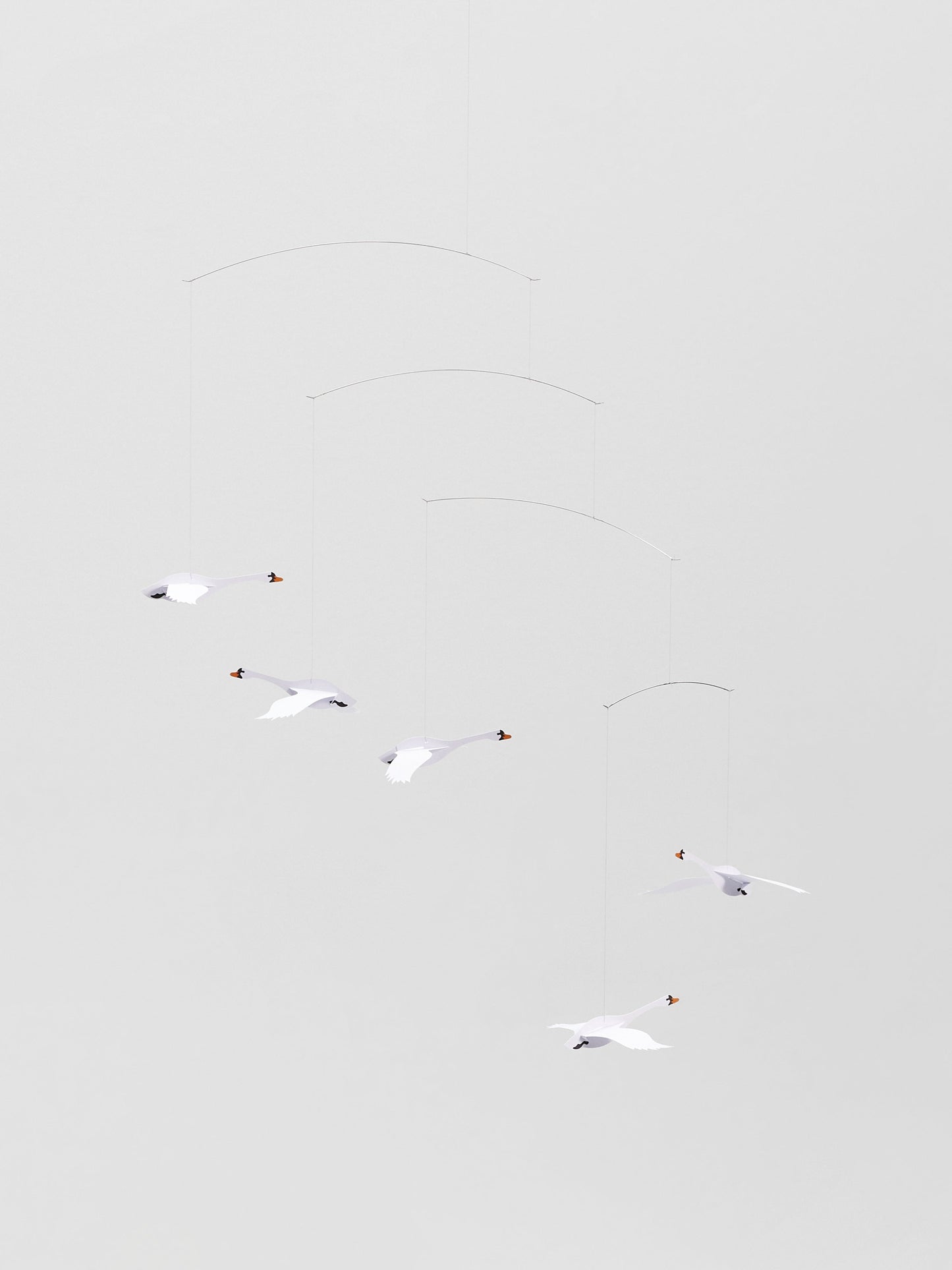 Scandinavian Swans.