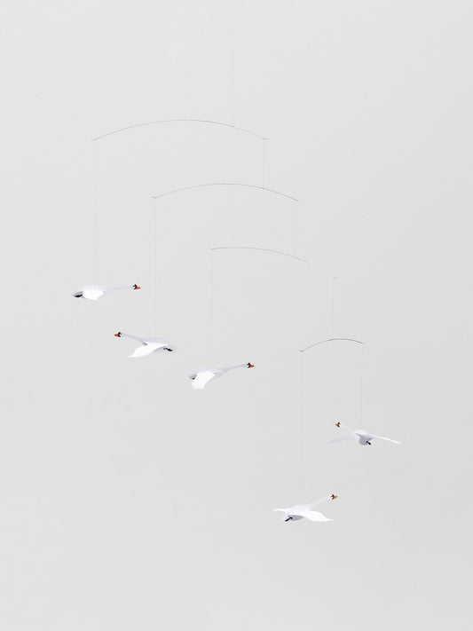 Scandinavian Swans.