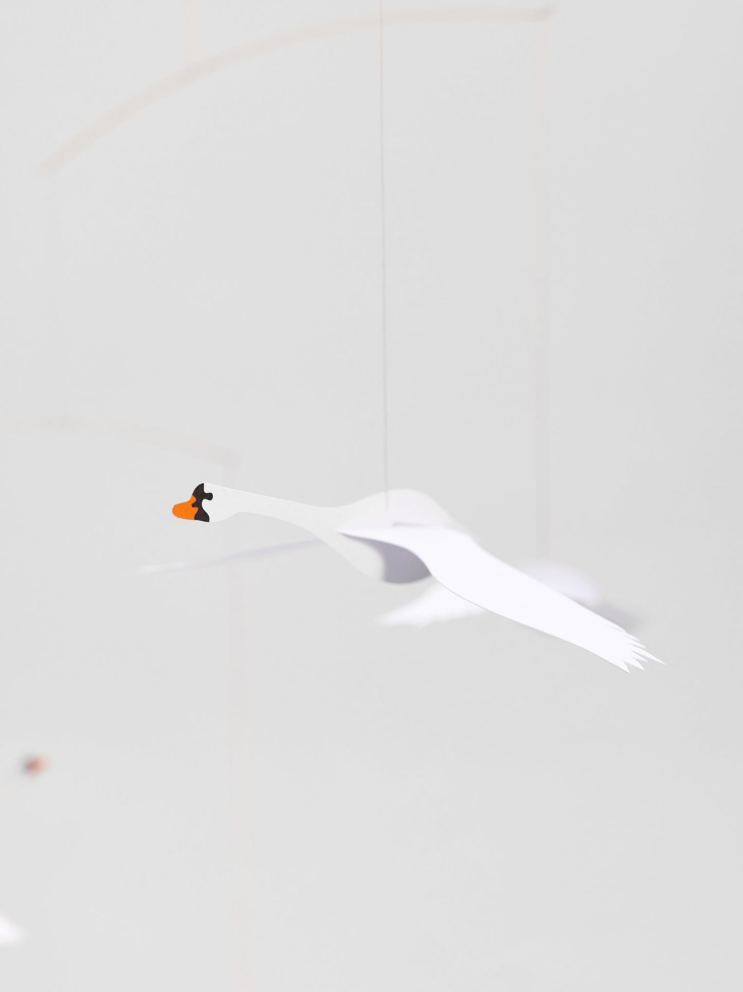 Scandinavian Swans.